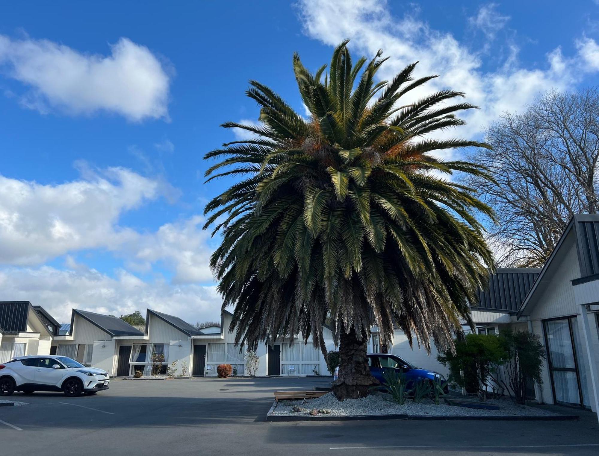 Diplomat Motel Christchurch Luaran gambar